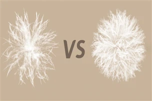 Hoeveel weet u over donsjacks?